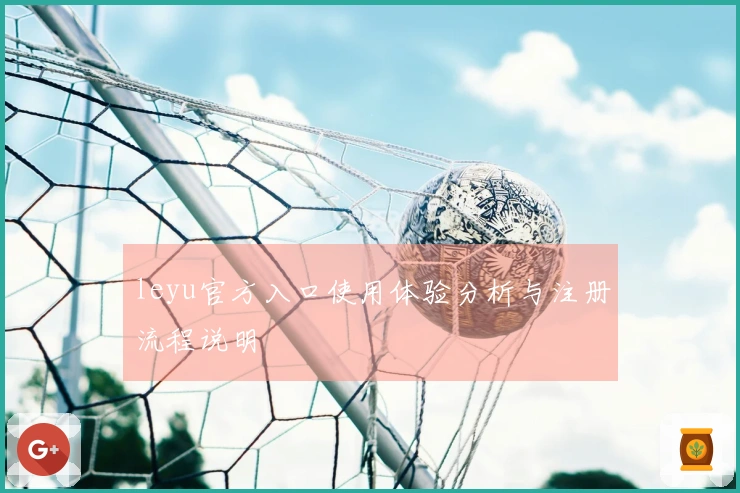leyu官方入口使用体验分析与注册流程说明