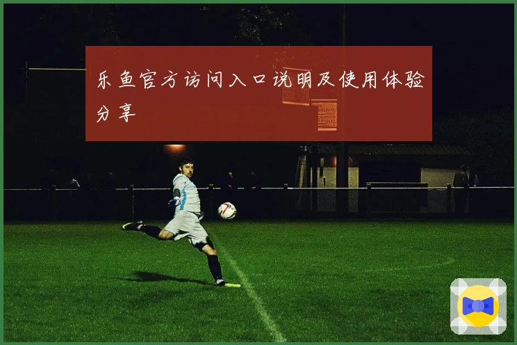 乐鱼官方访问入口说明及使用体验分享