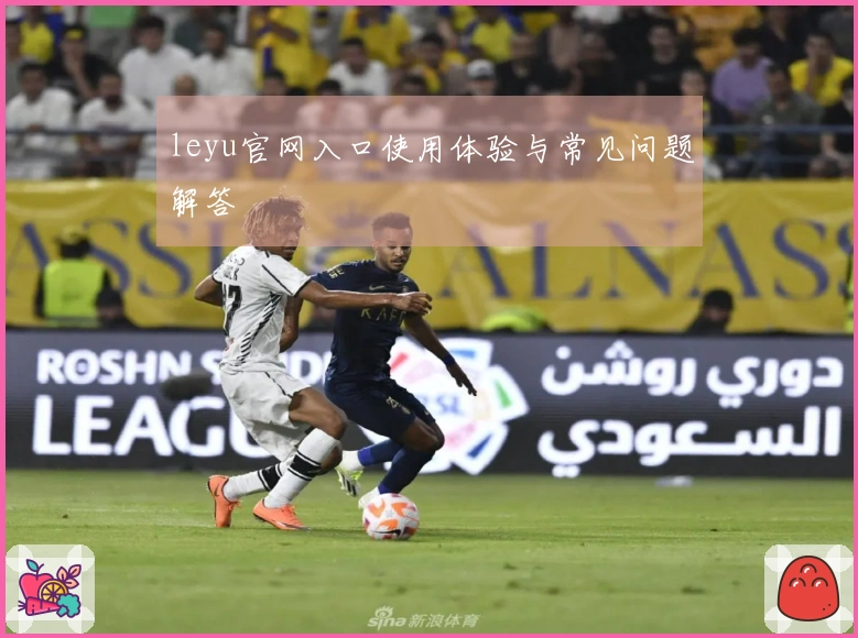 leyu官网入口使用体验与常见问题解答
