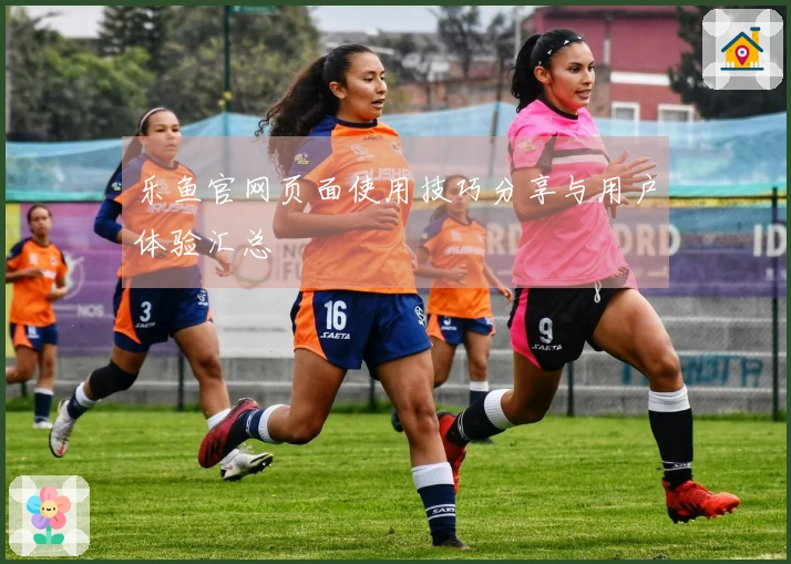 乐鱼官网页面使用技巧分享与用户体验汇总