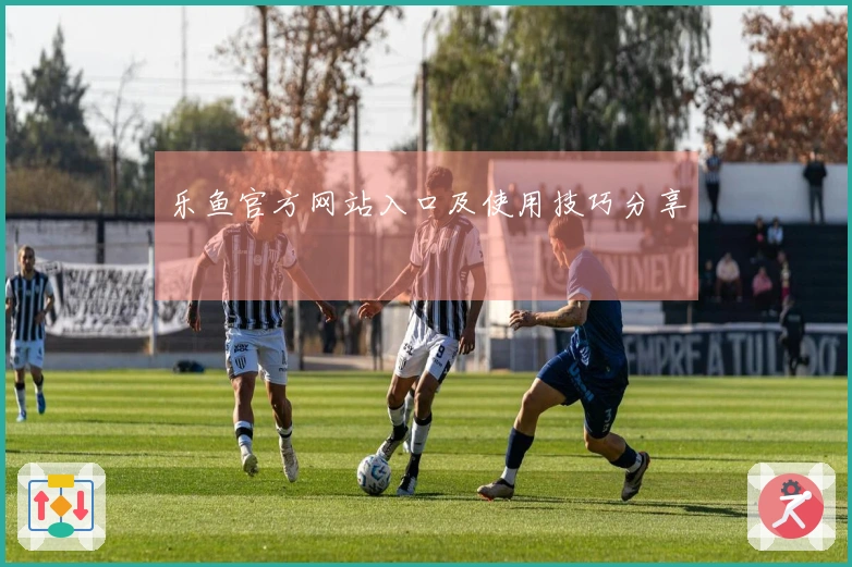 乐鱼官方网站入口及使用技巧分享