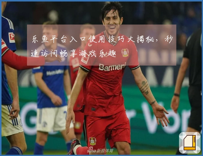 乐鱼平台入口使用技巧大揭秘，秒速访问畅享游戏乐趣