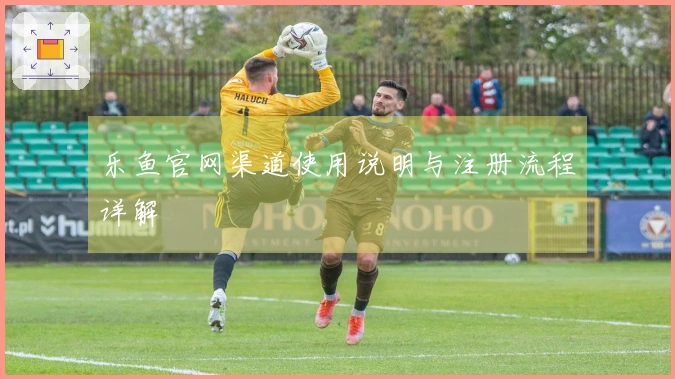 乐鱼官网渠道使用说明与注册流程详解