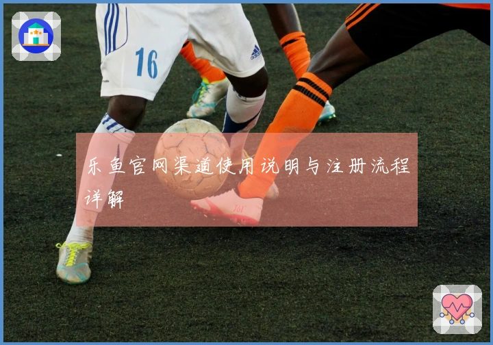 乐鱼官网渠道使用说明与注册流程详解