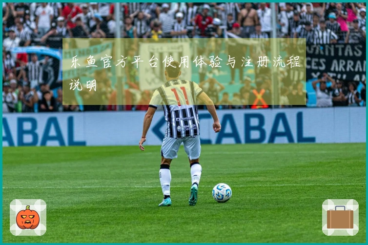 乐鱼官方平台使用体验与注册流程说明