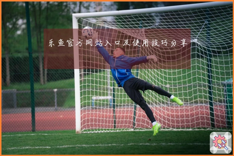 乐鱼官方网站入口及使用技巧分享
