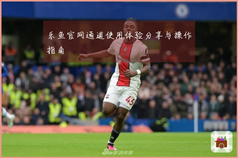 乐鱼官网通道使用体验分享与操作指南