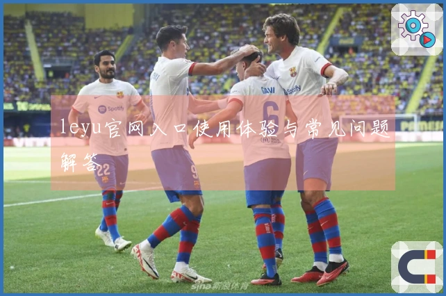 leyu官网入口使用体验与常见问题解答