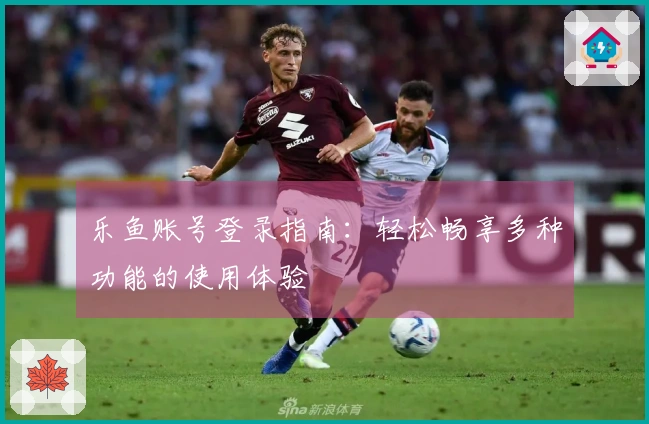 乐鱼账号登录指南：轻松畅享多种功能的使用体验