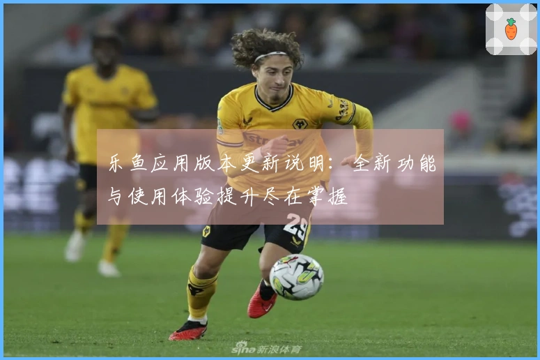 乐鱼应用版本更新说明：全新功能与使用体验提升尽在掌握