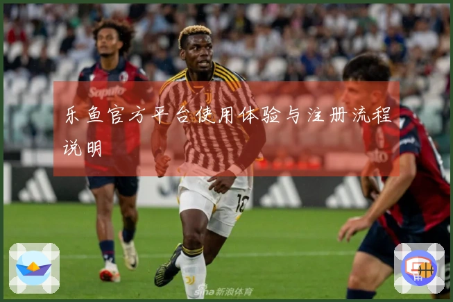 乐鱼官方平台使用体验与注册流程说明